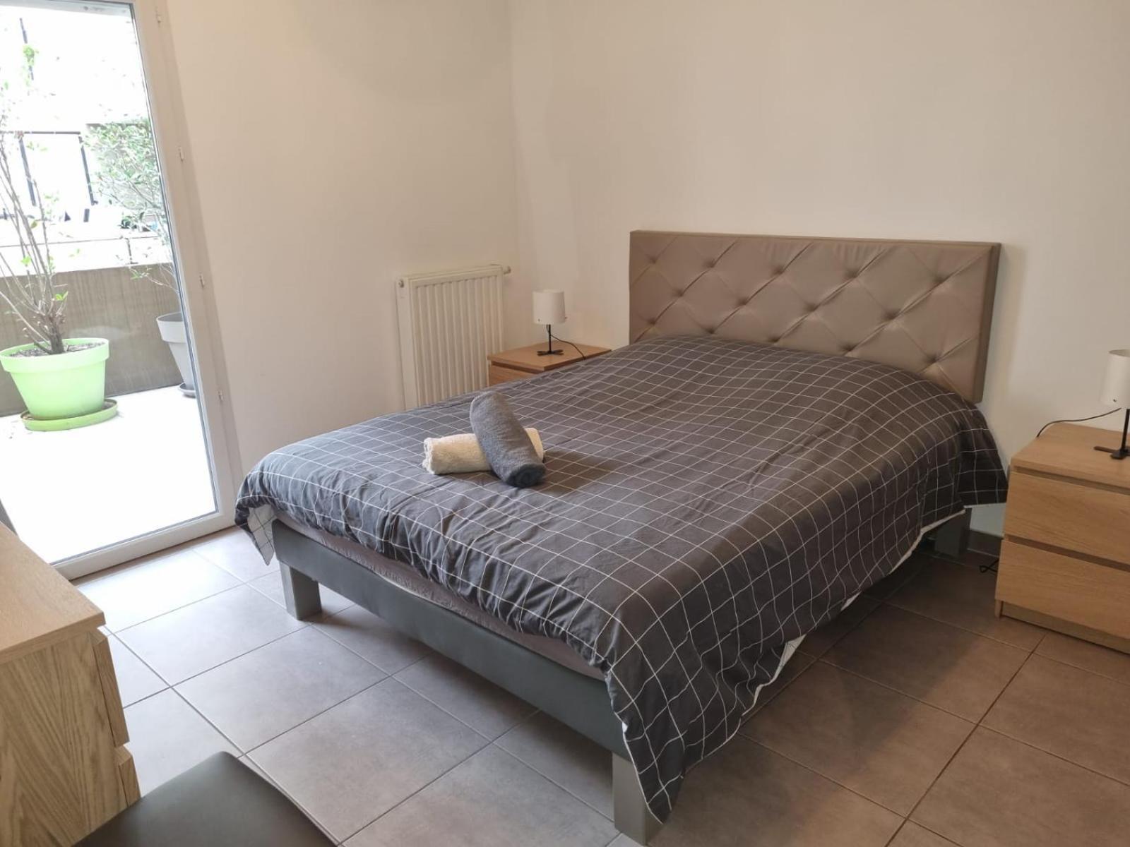 Grand Appartement Avec Garage Et Terrasse Castelnau-le-Lez Bagian luar foto